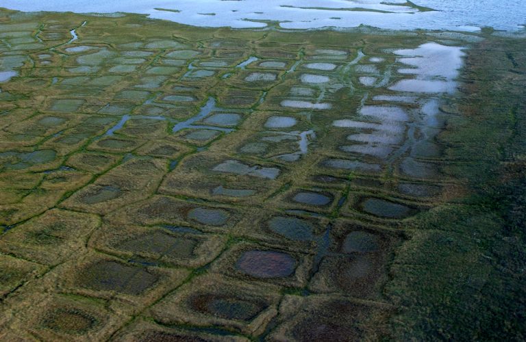 Trump administration cuts environmental reviews to fast-track Alaska oil exploration